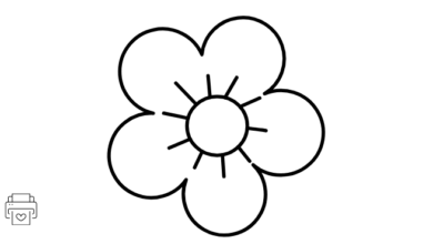 Desenhos de flores para colorir