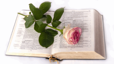 Como fazer mini biblia para lembrancinha